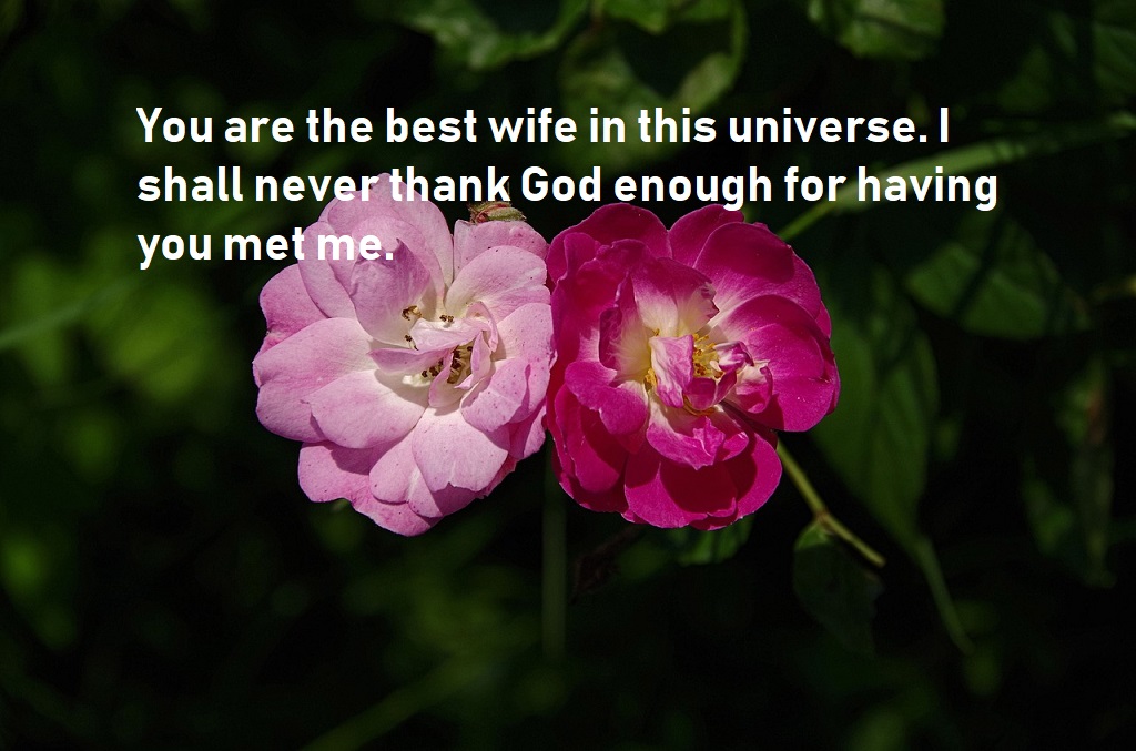 Anniversary quotes to give surprise to your loved ones - BestInfoHub