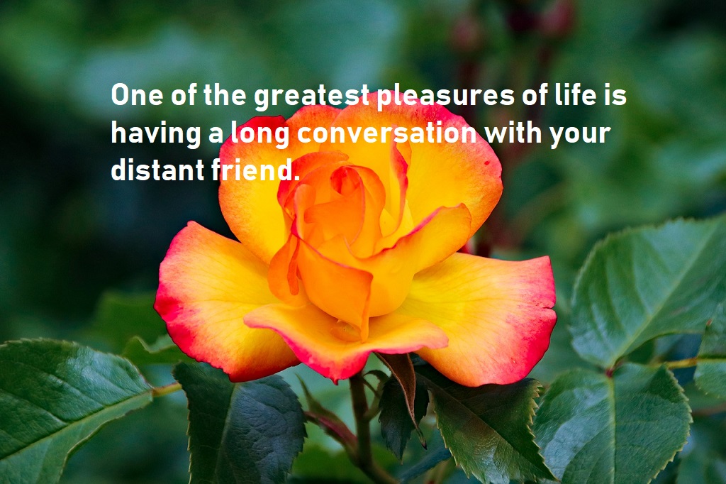 Best friend quotes show the value they accept in friendship - BestInfoHub