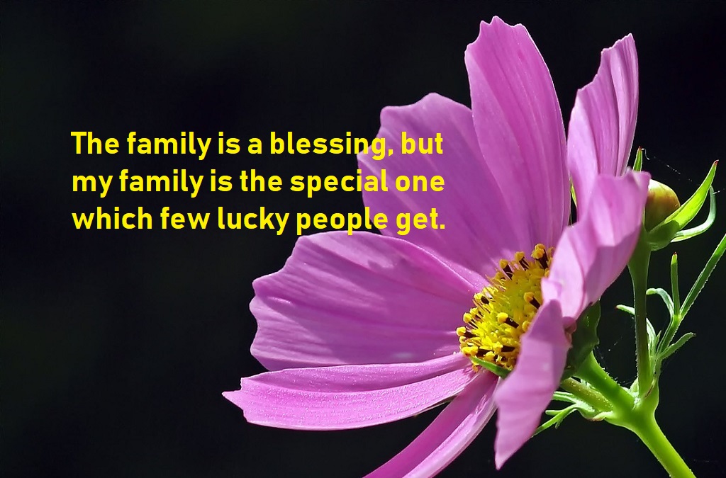 Family quotes to help you express your love to your family - BestInfoHub