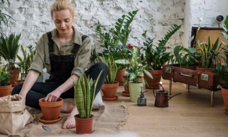 indoor gardening