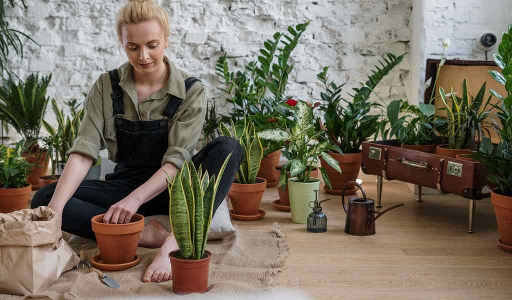 indoor gardening