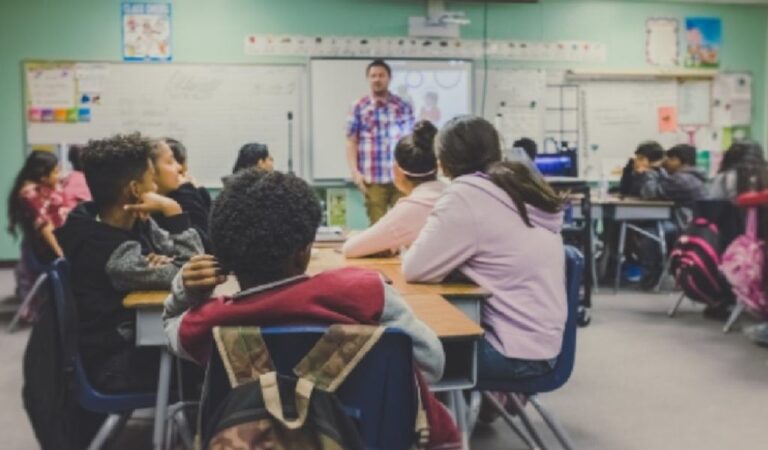 charter-school-vs-magnet-school-what-are-the-differences-bestinfohub